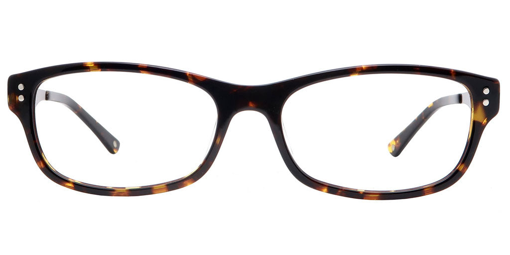 Bagan Tortoise Computer Glasses front