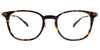 Hudson Tortoise Computer Glasses front
