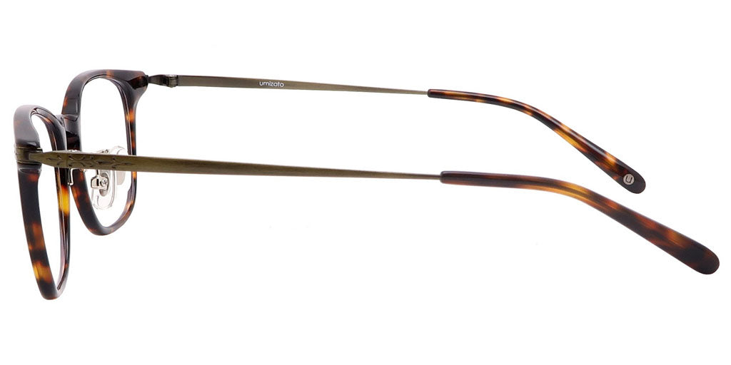 Hudson Tortoise Computer Glasses side