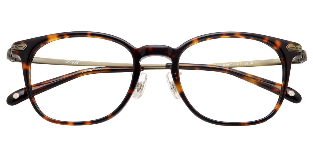 Hudson Tortoise Computer Glasses top