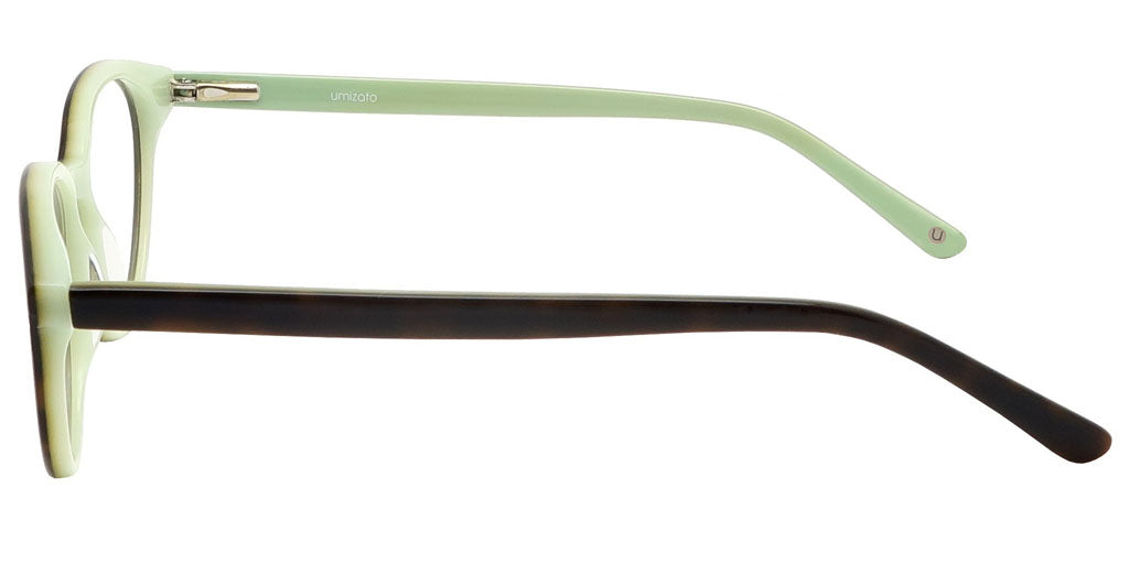 Manila Tortoise Computer Glasses side